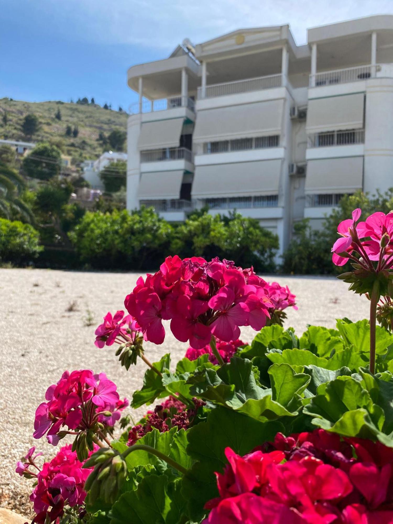 Marjana Apartamento