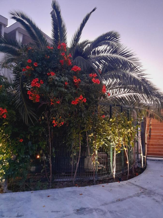 Marjana Appartement *