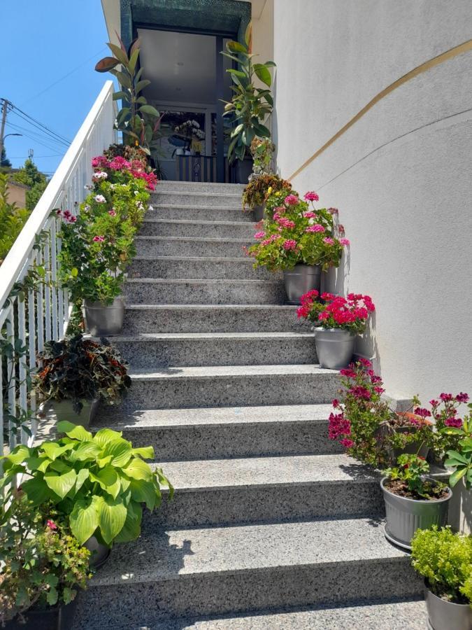 Apartment Marjana Sarande